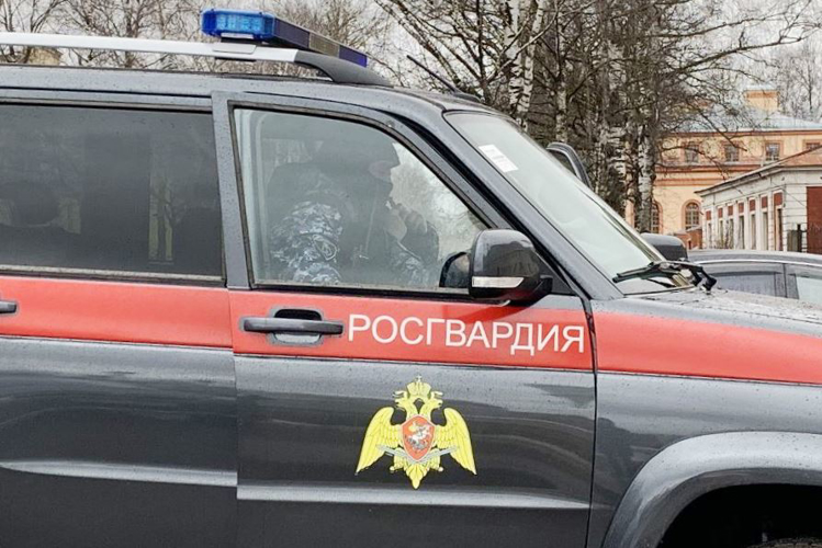 Во Всеволожске сотрудники Росгвардии задержали хулигана, избившего посетительницу гипермаркета