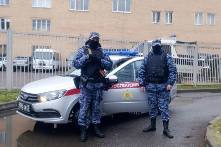 В Василеостровском районе сотрудники Росгвардии разыскали и вернули матери потерявшегося ребенка