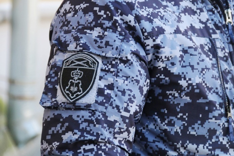 В Пушкине сотрудники вневедомственной охраны задержали гражданина, угрожавшего ножом своей 83-летней матери