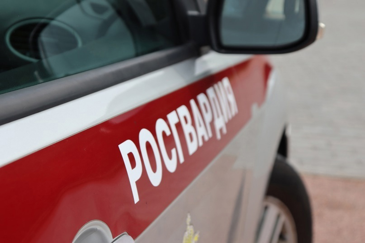 В Невском районе наряд Росгвардии задержал двух правонарушителей, пытавшихся ограбить мужчину