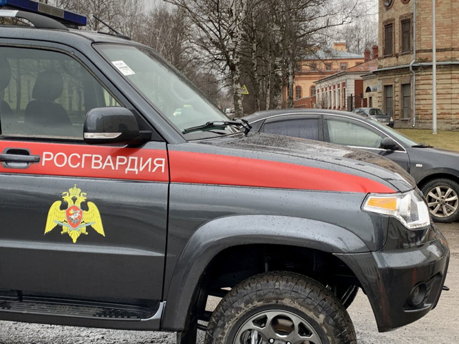 В Рощино сотрудники Росгвардии и полиции задержали хулиганов, повредивших деревянным бруском 5 автомобилей