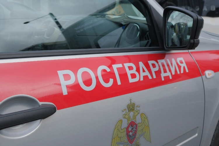 В Московском районе сотрудники Росгвардии задержали грабителя, спровоцировавшего драку с персоналом и посетителями магазина