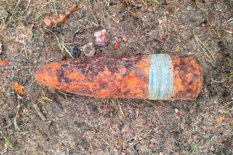 Взрывотехники ОМОН Росгвардии обследовали два боеприпаса времён войны, обнаруженные в Ленинградской области