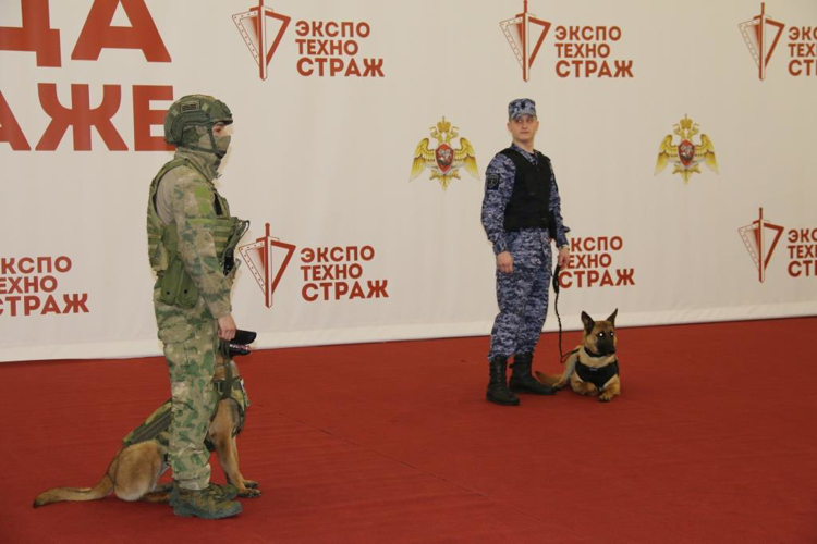 Кинологи Росгвардии выступили с показательным выступлением для посетителей выставки "Экспотехностраж"