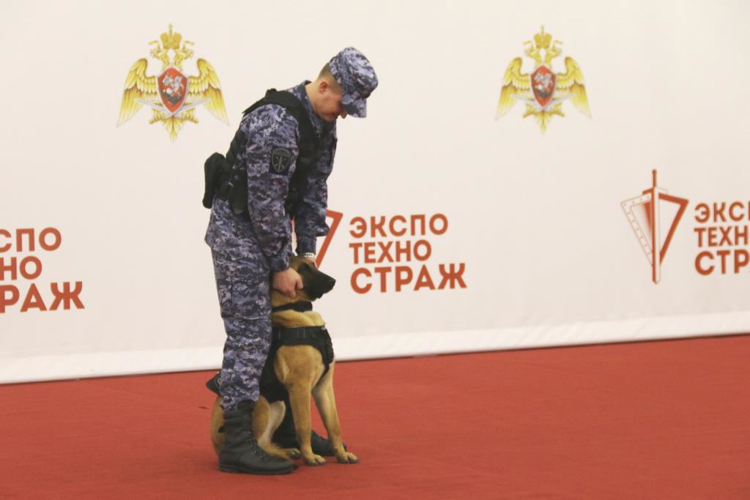 Кинологи Росгвардии выступили с показательным выступлением для посетителей выставки "Экспотехностраж"
