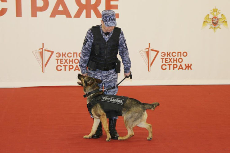 Кинологи Росгвардии выступили с показательным выступлением для посетителей выставки "Экспотехностраж"