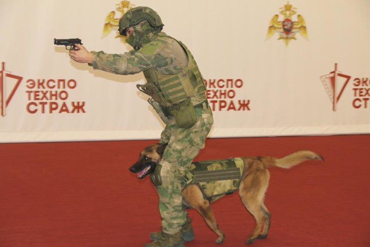 Кинологи Росгвардии выступили с показательным выступлением для посетителей выставки "Экспотехностраж"