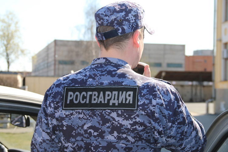 В Кингисеппском районе наряд Росгвардии задержал правонарушителя, спровоцировавшего драку с работником охраны