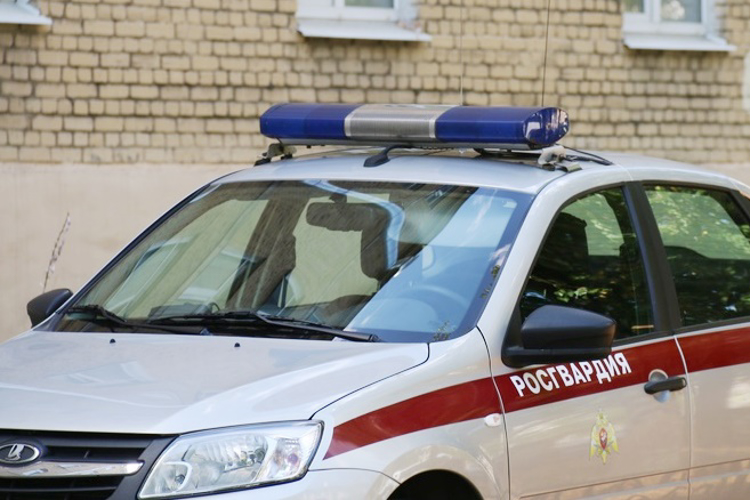 В Красносельском районе сотрудники Росгвардии задержали агрессивного местного жителя, угрожавшего ножом работнику ЖК