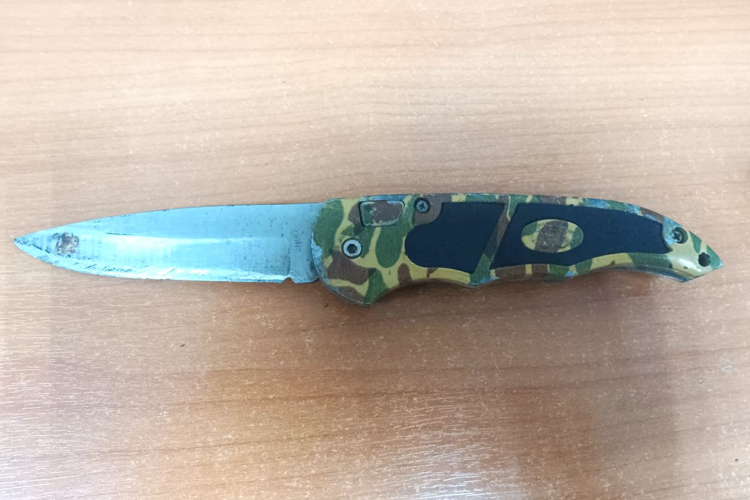 В Красногвардейском районе наряд Росгвардии задержал вооруженного ножом хулигана, угрожавшего прохожему