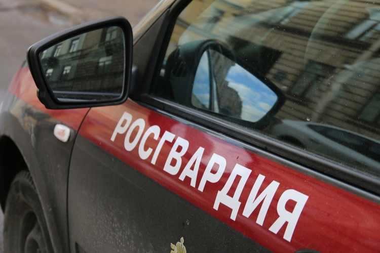 В Петроградском районе сотрудники Росгвардии обнаружили возгорание в строительном вагончике и вызвали на место пожарных