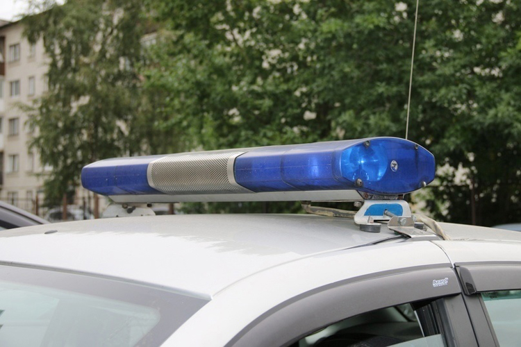 В Гатчине наряд вневедомственной охраны задержал местную жительницу, разыскиваемую за кражу смартфона у ребёнка