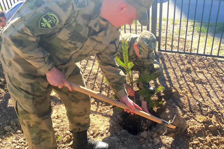В Красносельском районе сотрудники Росгвардии приняли участие в акции «Сирень Победы»