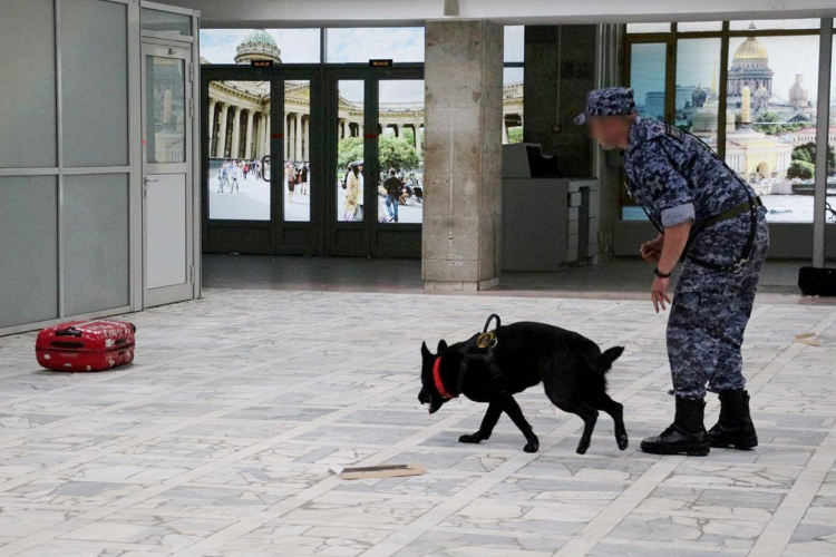 В Санкт-Петербурге сотрудники и военнослужащие Росгвардии заняли призовые места в соревнованиях специалистов-кинологов