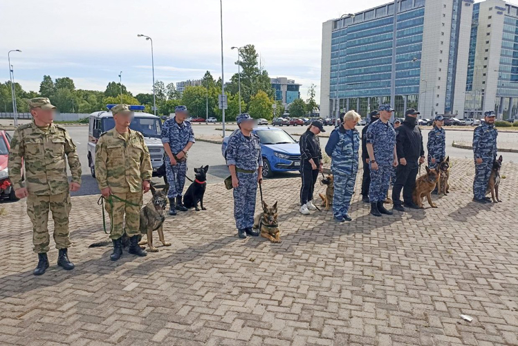 В Санкт-Петербурге сотрудники и военнослужащие Росгвардии заняли призовые места в соревнованиях специалистов-кинологов
