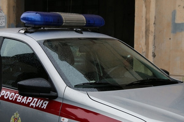 В Центральном районе сотрудники Росгвардии задержали гражданина, избившего мужчину в ходе уличного конфликта
