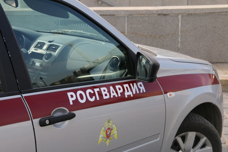 В Центральном районе наряд Росгвардии задержал мужчину, устроившего погром в летнем кафе на Думской улице