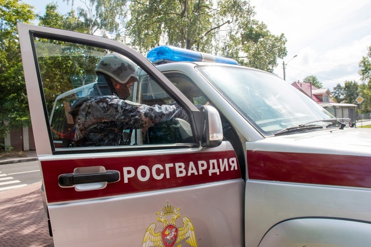 В Курортном районе сотрудники вневедомственной охраны обнаружили подростка, ранее ушедшего из летнего детского лагеря