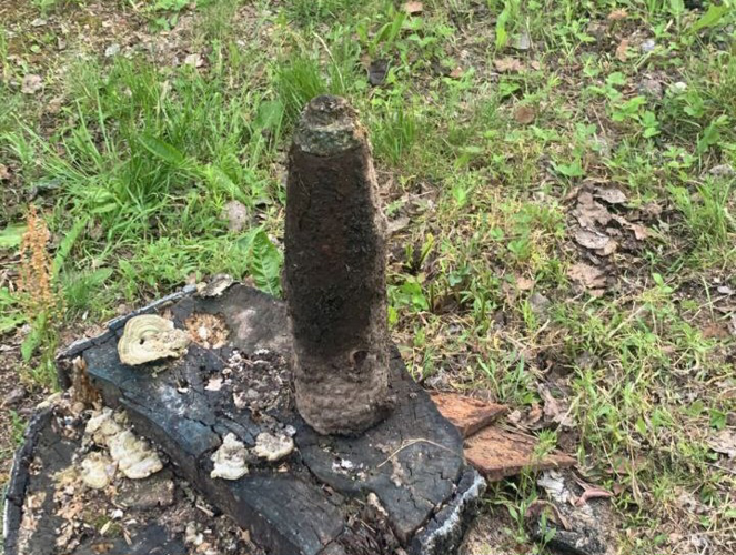 В Петергофе сотрудники Росгвардии обследовали боеприпас времен войны и обеспечили безопасность на месте его обнаружения