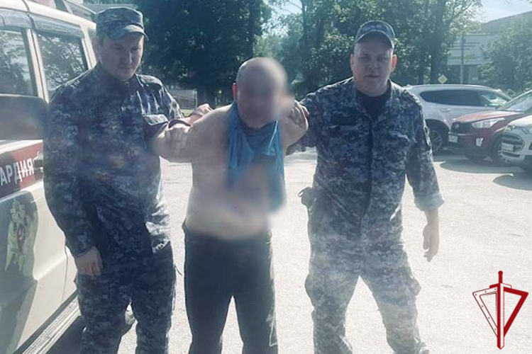 Во Всеволожске наряд вневедомственной охраны задержал правонарушителя, повредившего припаркованные автомобили