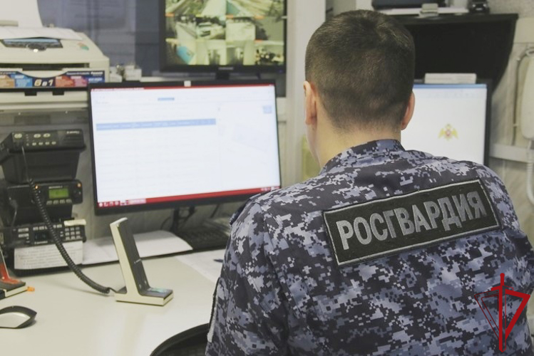 В Новом Девяткино сотрудники Росгвардии задержали рецидивиста, совершившего кражу с территории энергетического объекта