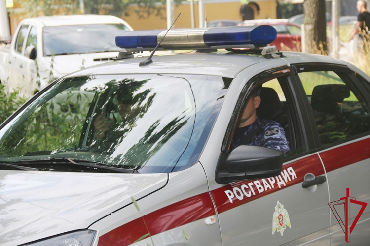 В Павловске наряд Росгвардии задержал гражданина, распространявшего незаконную рекламу