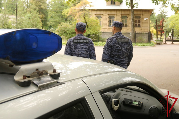 В Токсово сотрудники Росгвардии задержали хулиганов, стрелявших по окну дома из пневматического пистолета