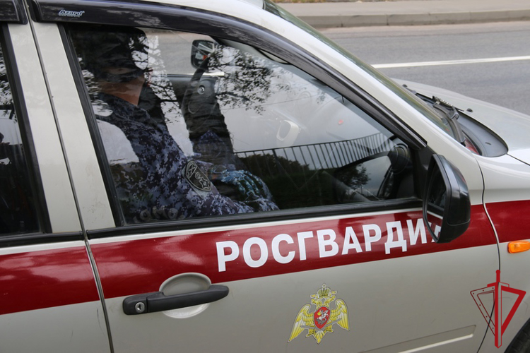 В Колпинском районе наряд Росгвардии задержал гражданина, подозреваемого в повреждении имущества Дворца культуры