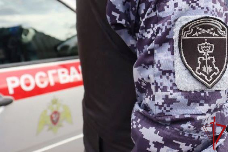 В Выборгском районе наряд Росгвардии задержал гражданина, под угрозой пневматического пистолета требовавшего у работника магазина крупную сумму денег