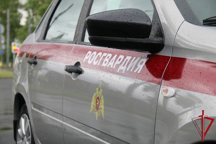 В Красногвардейском районе наряд вневедомственной охраны задержал нетрезвого водителя иномарки