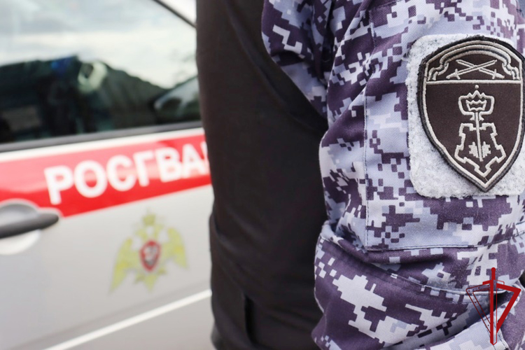 В Василеостровском районе сотрудники вневедомственной охраны задержали посетителя бара, избившего свою супругу