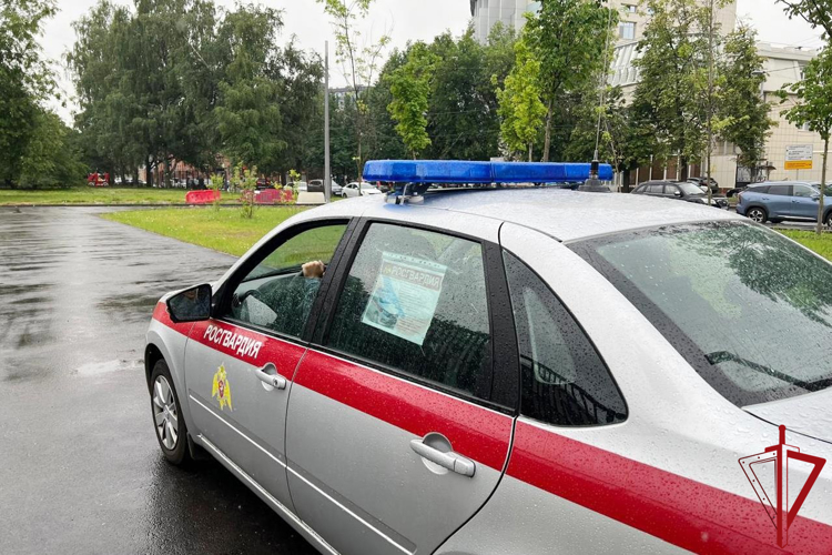 В Колпинском районе наряд Росгвардии задержал граждан, нарушавших общественный порядок