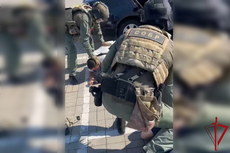 В Ленобласти при силовой поддержке СОБР «Гранит» Росгвардии задержаны лица, пытавшиеся дать взятку офицеру Погранслужбы