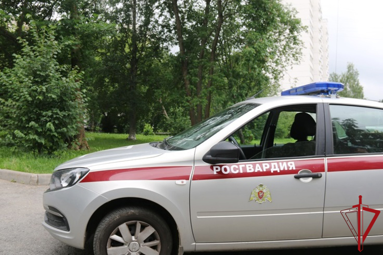 В Красногвардейском районе сотрудники Росгвардии задержали гражданку, подозреваемую в нанесении ножевых ранений сожителю