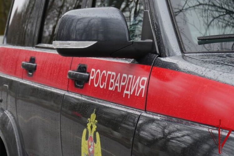 В Красногвардейском районе сотрудники Росгвардии задержали хулиганов, рисовавших граффити