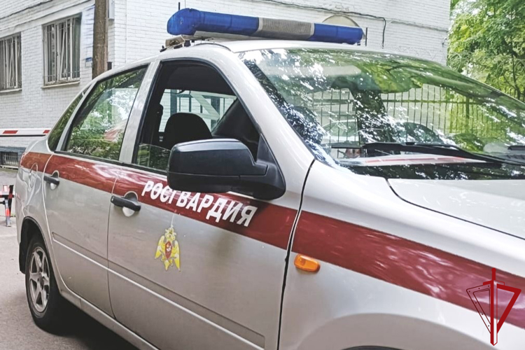 В Красногвардейском районе сотрудники Росгвардии задержали троих посетителей магазина, избивших продавца-кассира