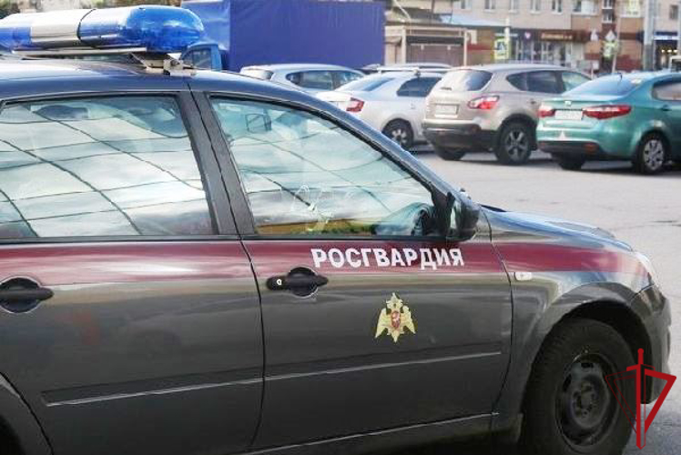 В Выборгском районе сотрудники Росгвардии задержали двух грабителей, напавших на гражданина у станции метро