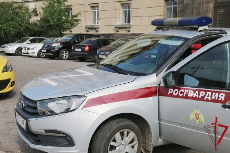 В Центральном районе нарядом Росгвардии задержан подозреваемый в нанесении ножевых ранений мужчине