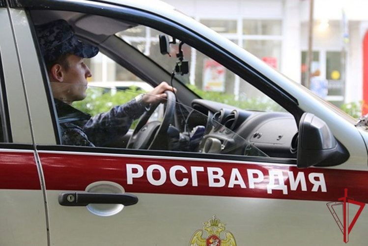В Кировском районе сотрудники Росгвардии и полиции задержали двух гражданок, нанесших побои девушке