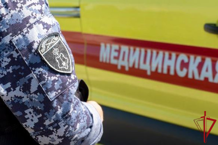 В Выборгском районе сотрудники Росгвардии задержали нетрезвого хулигана, избившего фельдшера скорой помощи