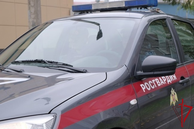 В Выборгском районе сотрудники Росгвардии задержали правонарушителя, избившего посетителя бара