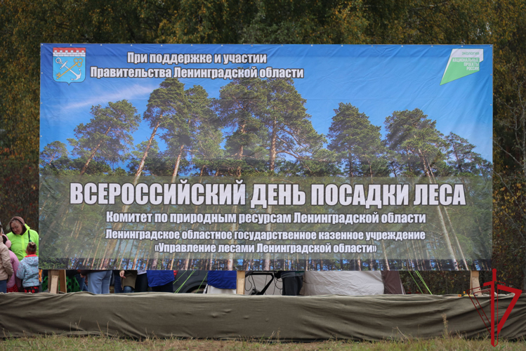В Ленинградской области сотрудники Росгвардии приняли участие во Всероссийской экологической акции «Сохраним лес»