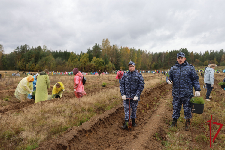 В Ленинградской области сотрудники Росгвардии приняли участие во Всероссийской экологической акции «Сохраним лес»