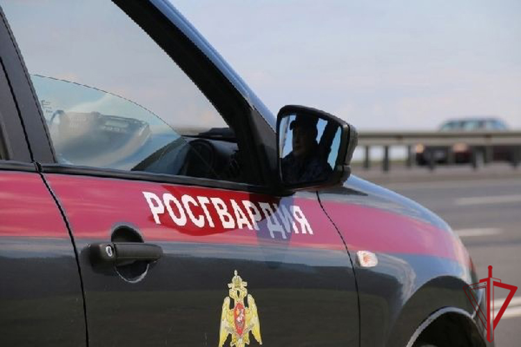 В Гатчине сотрудники Росгвардии задержали нетрезвого водителя, управлявшего мотоциклом без номерных знаков