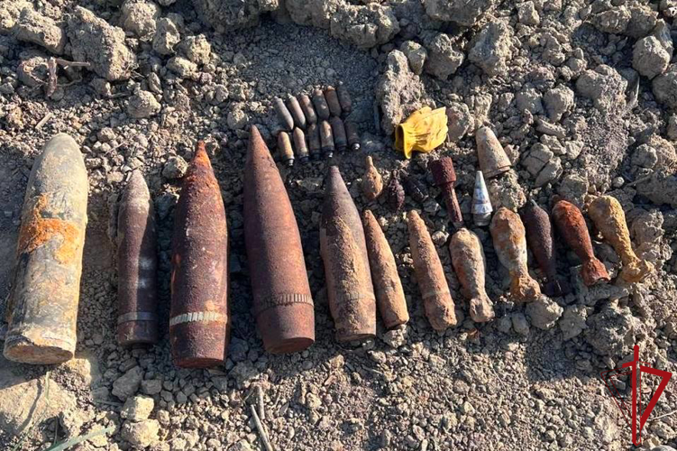 Сотрудники ОМОН Росгвардии обезвредили более 30 боеприпасов времён войны, обнаруженных в Петербурге и Ленобласти