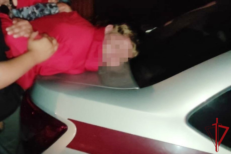 В Ленинградской области росгвардейцы задержали хулигана, угрожавшего женщине пневматическим пистолетом