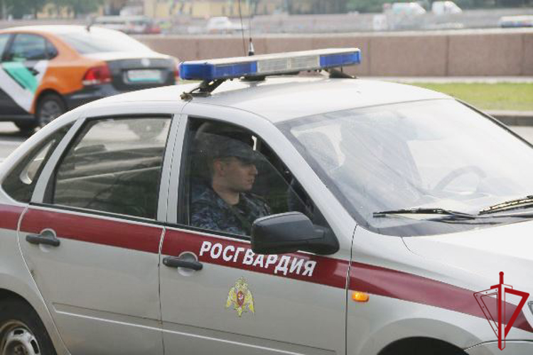 В Купчино наряд Росгвардии задержал правонарушителя, угрожавшего работнику магазина отверткой