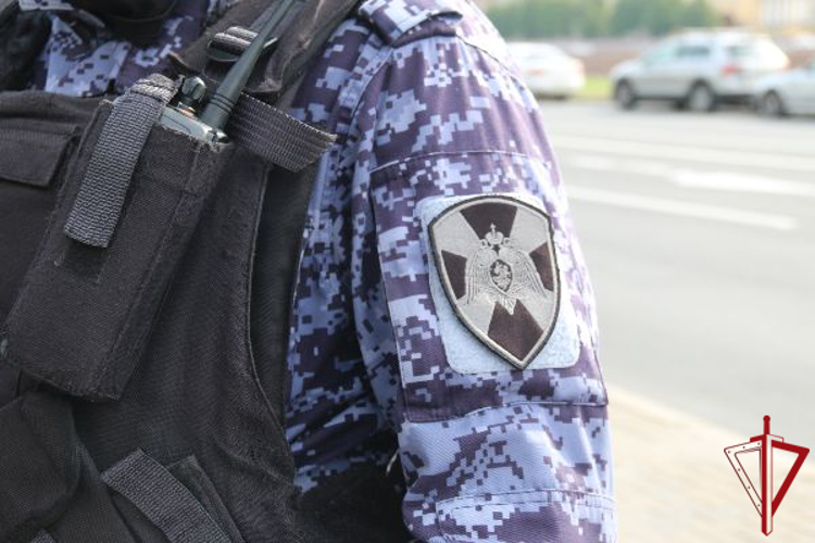 Cотрудники Росгвардии задержали правонарушителя, избившего мужчину неподалеку от Таврического сада