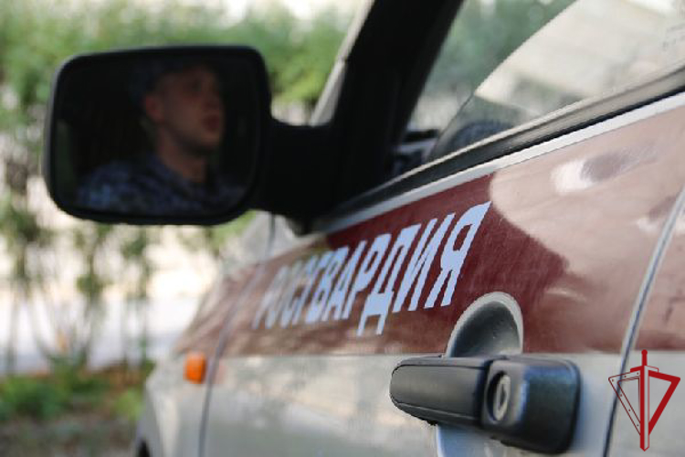 Сотрудники Росгвардии задержали граждан, пытавшихся увезти с места происшествия девушку, выпавшую из окна жилого дома