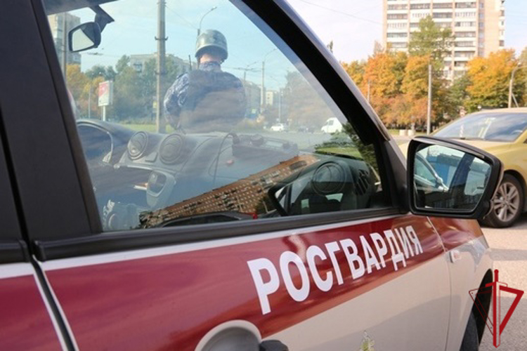 В Выборгском районе сотрудники Росгвардии задержали правонарушительницу, повредившую иномарку возле ТРК